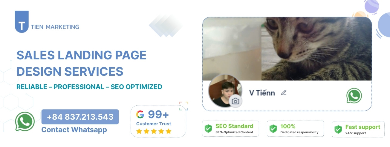 Professional landing page design services