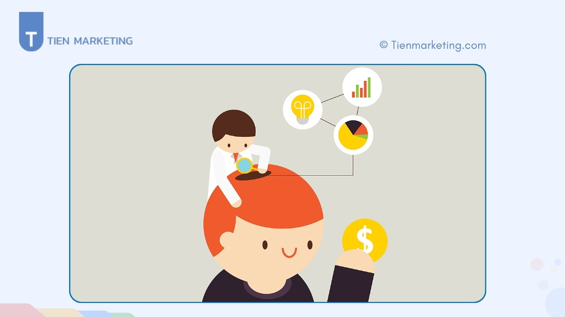 Insight khách hàng là gì?