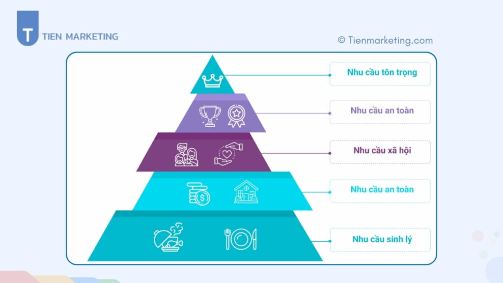 Tháp nhu cầu của Maslow là gì? Ý nghĩa và ứng dụng thực tế trong kinh doanh