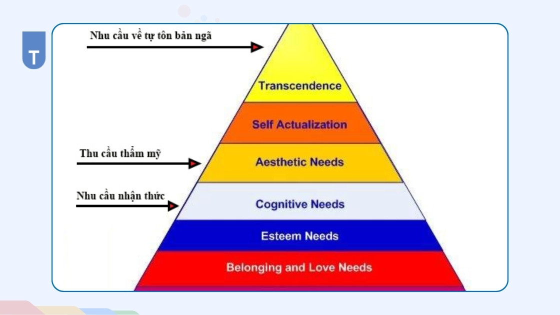 Tháp nhu cầu Maslow 8 bậc - Mô hình mở rộng