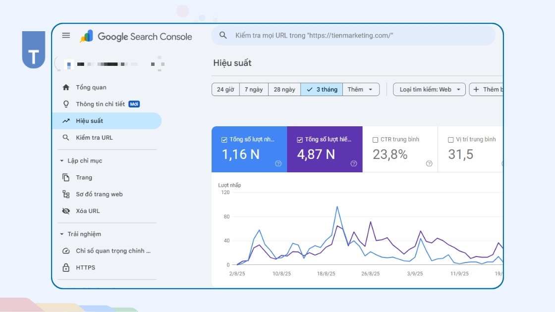 trang báo cáo tổng quan và hiệu suất website